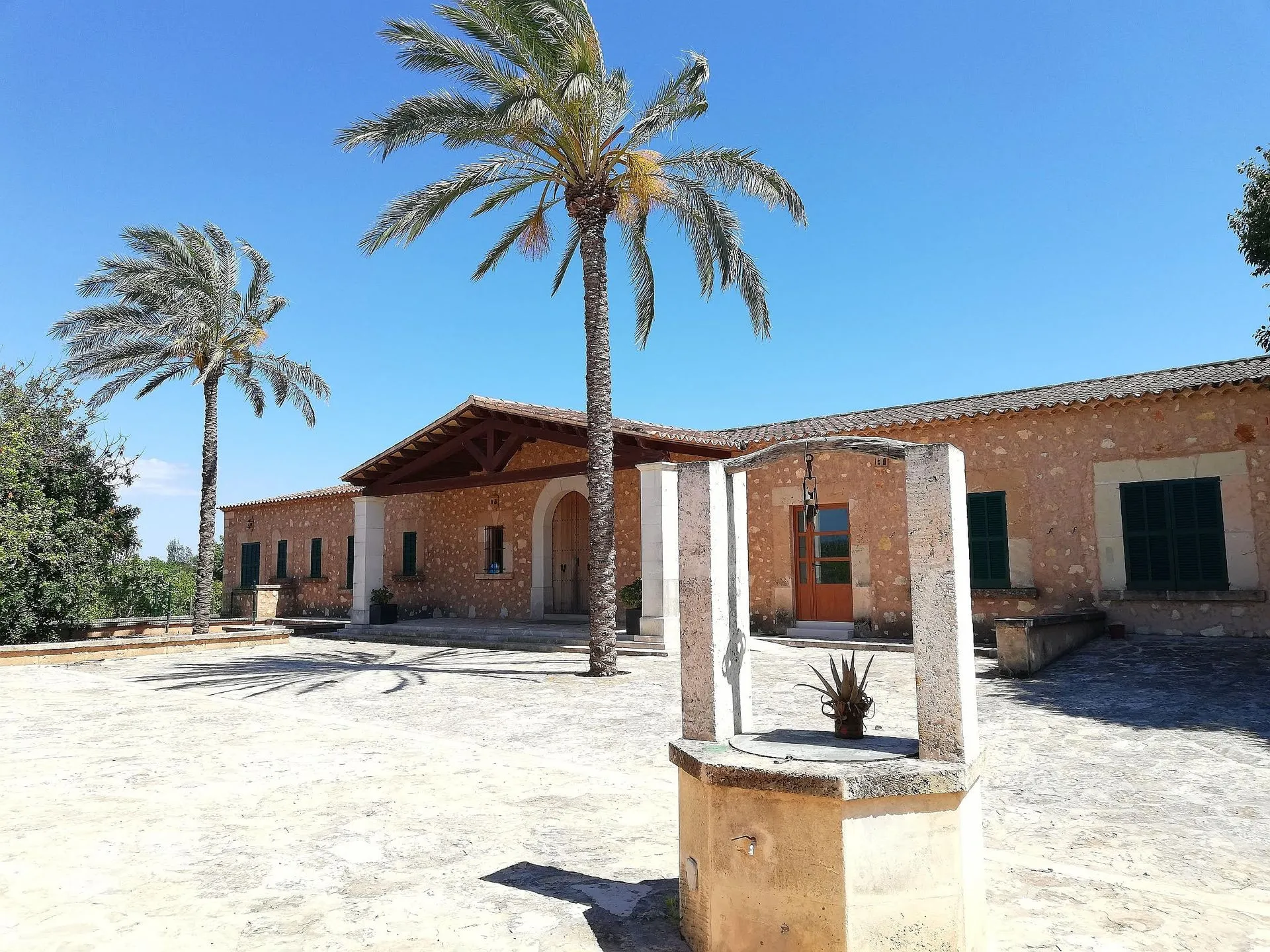 Regulaci&oacute;n patrimonial