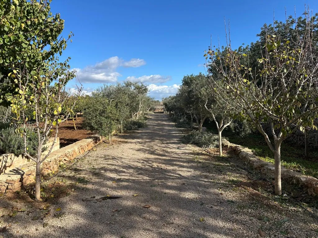 Finca R&uacute;stica Can Kuchi, Sencelles