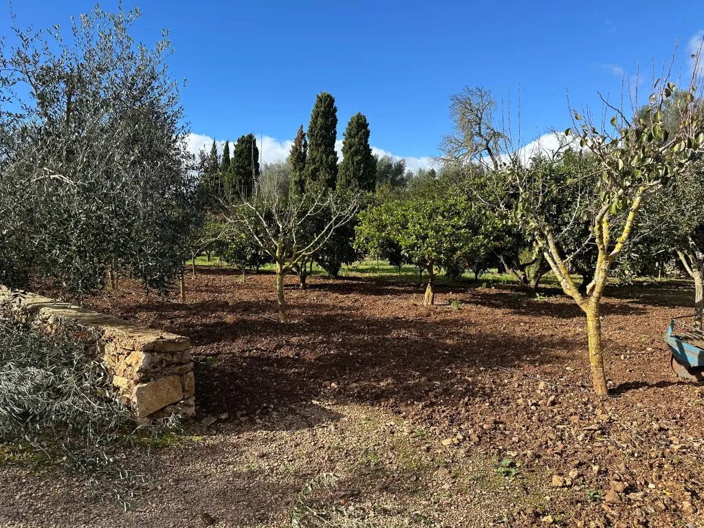 Finca R&uacute;stica Can Kuchi, Sencelles