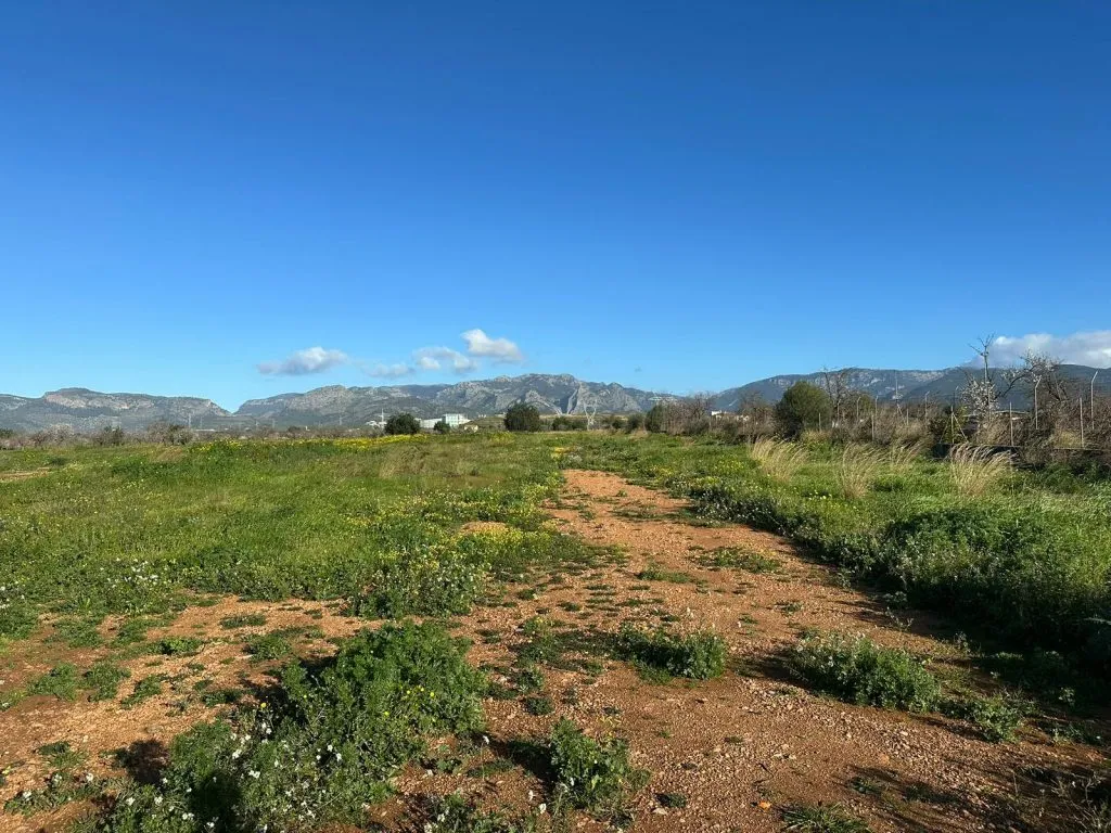 Terreno en Can Sionet, Marratx&iacute;