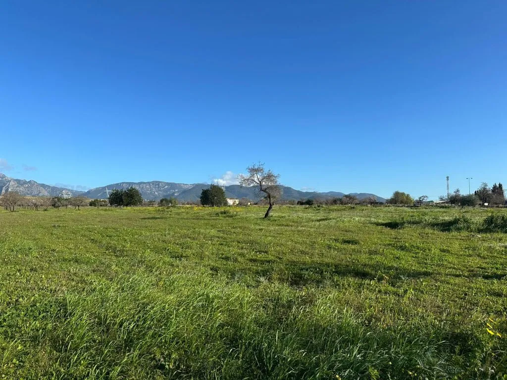 Terreno en Can Sionet, Marratx&iacute;