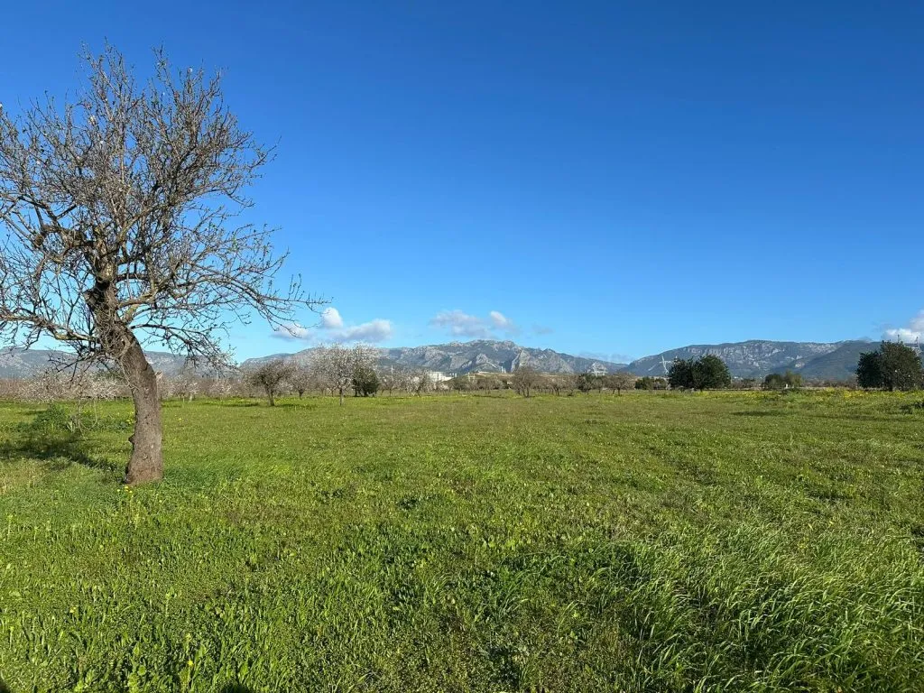 Terreno en Can Sionet, Marratx&iacute;