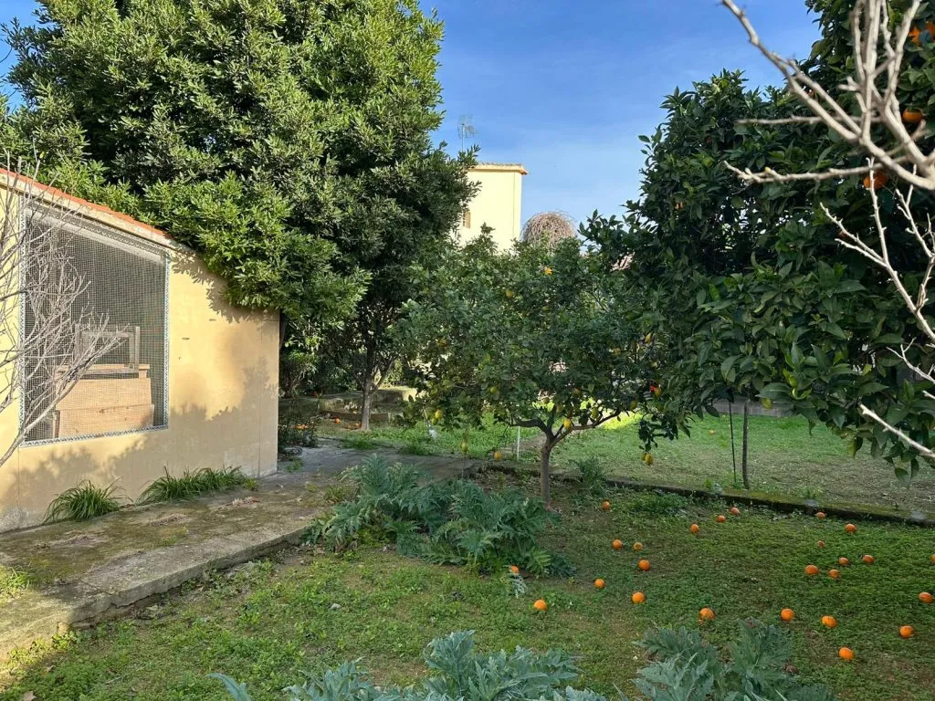 Vivienda Unifamiliar en La Vileta, Palma