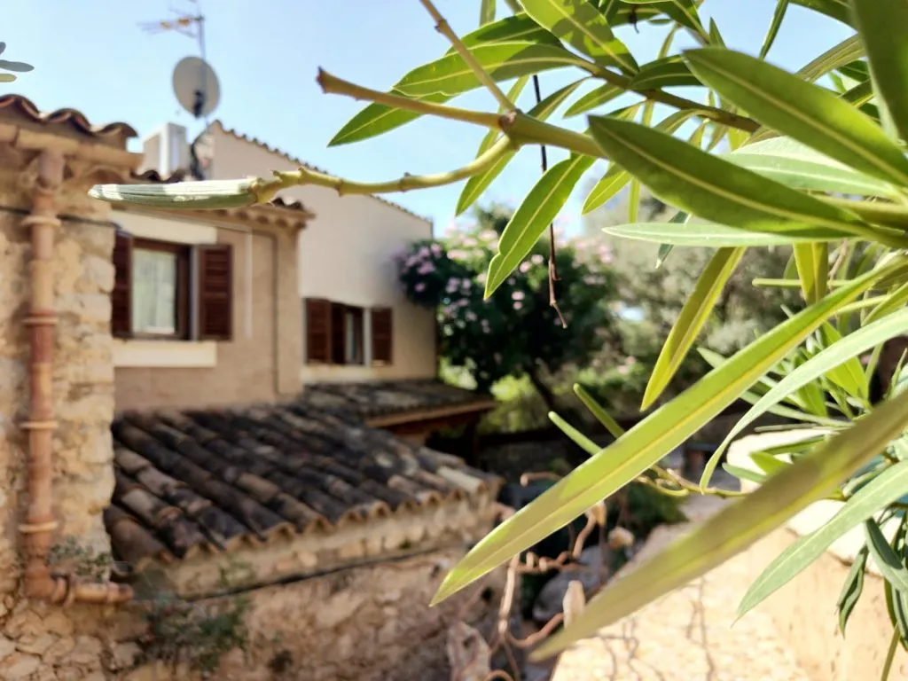Chalet Pareado en Caimari