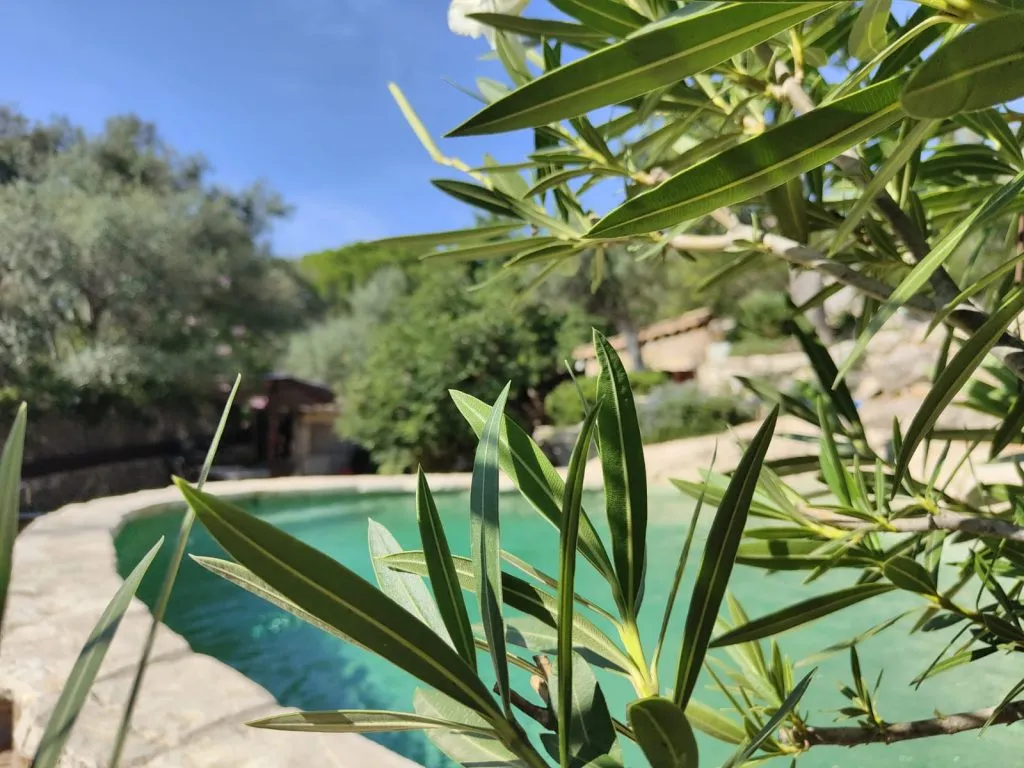 Chalet Pareado en Caimari