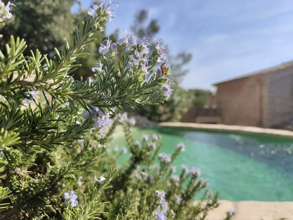 Chalet Pareado en Caimari